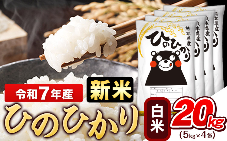 新米 令和7年産 ひのひかり 白米 20kg (5kg×4袋)《7-14日以内に出荷予定(土日祝除く)》熊本県産 白米 精米 ひの 米 こめ ヒノヒカリ コメ お米 おこめ