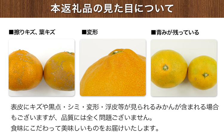 ご家庭用『菅本果実園』のご家庭用みかん★約5kg(2S-2Lサイズ) 《11月下旬-12月末頃出荷》 フルーツ 秋 旬★熊本県玉名郡玉東町 全国にファン多数！エコファーマー菅本さんのみかん♪『菅本果実園』ちょこっと訳あり