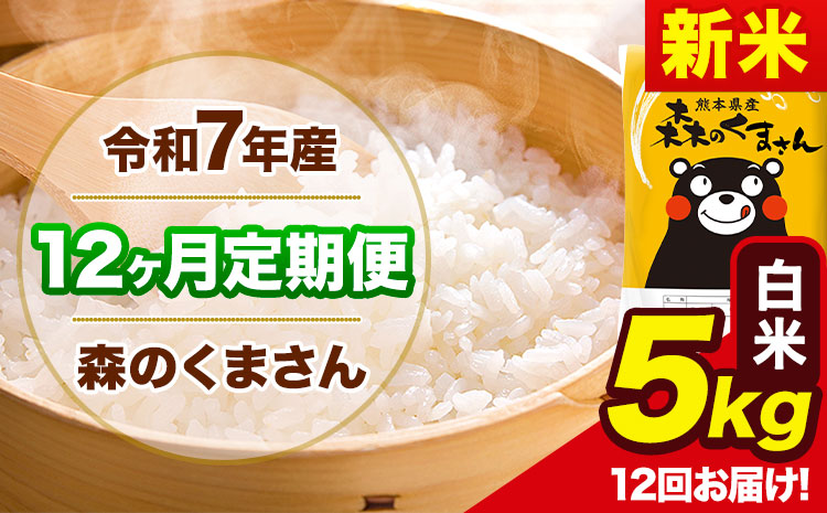 新米 令和7年産 森のくまさん【12ヶ月定期便】 白米 《お申込み翌月から出荷開始》5kg(5kg×1袋) 計12回お届け 熊本県産 単一原料米 森くま 熊本県 玉東町