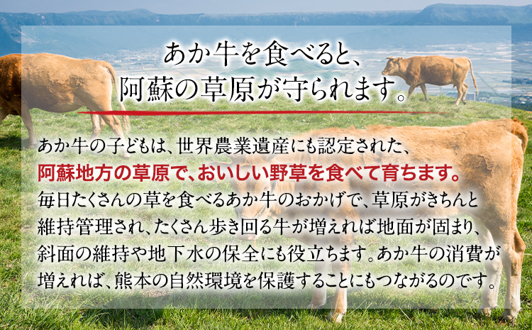 3ヶ月定期】熊本の和牛 あか牛ハンバーグ 150g×10個入り 玉屋商店《お