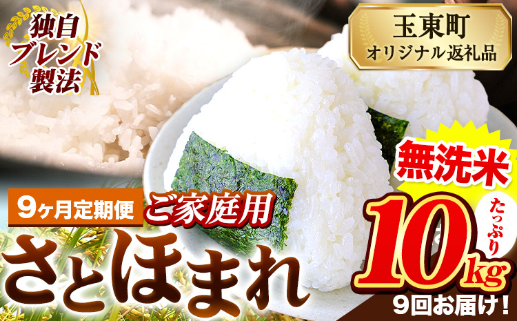 【9ヶ月定期便】熊本県産 さとほまれ 無洗米 ご家庭用 定期便 10kg 《お申込み翌月から出荷》熊本県 玉名郡 玉東町 米 こめ コメ ブレンド米 送料無料
