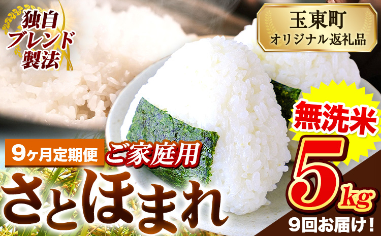 【9ヶ月定期便】熊本県産 さとほまれ 無洗米 ご家庭用 定期便 5kg 《お申込み翌月から出荷》熊本県 玉名郡 玉東町 米 こめ コメ ブレンド米 送料無料