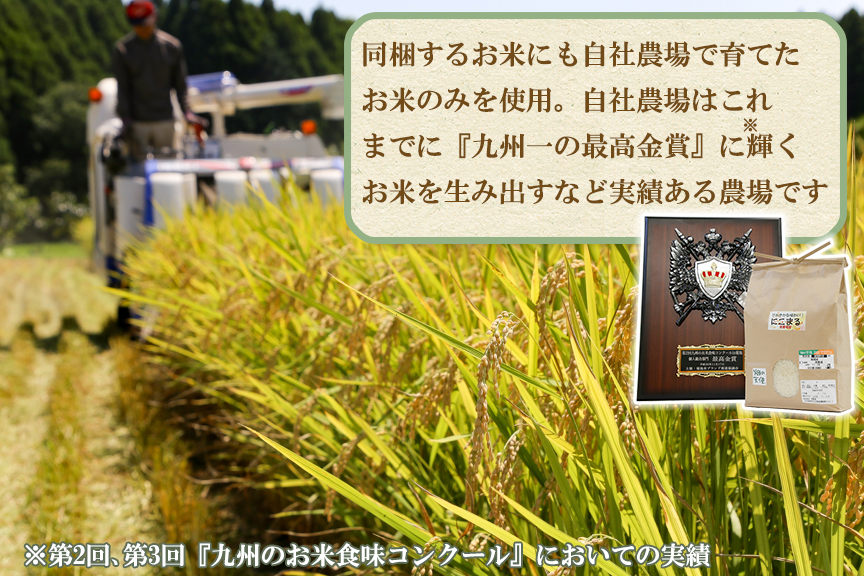 【定期便 3ヶ月】｢畑の天使｣定期便(年3回)《お米2kg入り》おまかせ 詰め合わせ 旬 野菜セット 新鮮 こだわり 朝採れ 採れたて フレッシュ サラダ 料理 人気 おすすめ 産地直送 熊本県 南関町