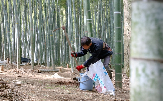 【先行受付】幸筍園 蛍(ほたる)たけのこ 1.5kg予約 12月末お届け お正月 おすすめ おせち 早掘り 茹で済み ボイル 数量限定