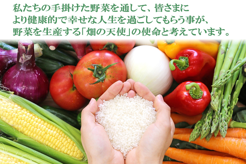 【定期便 3ヶ月】｢畑の天使｣定期便(年3回)《お米2kg入り》おまかせ 詰め合わせ 旬 野菜セット 新鮮 こだわり 朝採れ 採れたて フレッシュ サラダ 料理 人気 おすすめ 産地直送 熊本県 南関町