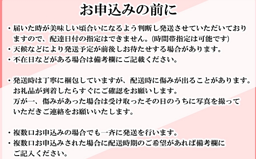 【先行受付】農家直送 南関町産いちご(淡雪) 計1.2㎏ 4パック ご家庭用 不揃い 産地直送 朝採り 新鮮 かわいい いちご 熊本