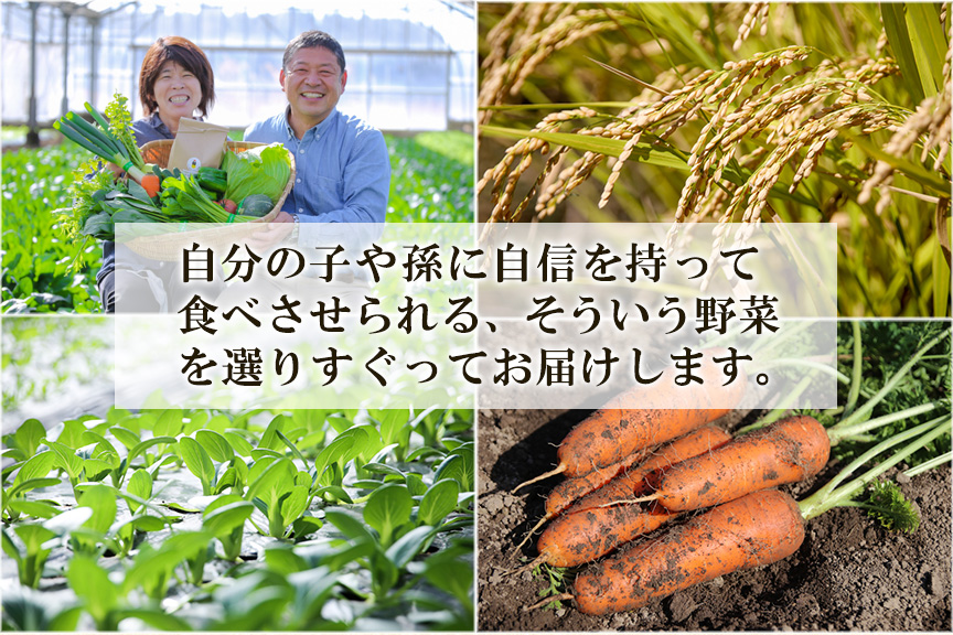 【お試し単品】いちど食べてみて「畑の天使」野菜《お米1kg入り》おまかせ 詰め合わせ 旬 野菜セット 新鮮 こだわり 朝採れ 採れたて フレッシュ サラダ 料理 人気 おすすめ 産地直送 熊本県 南関町