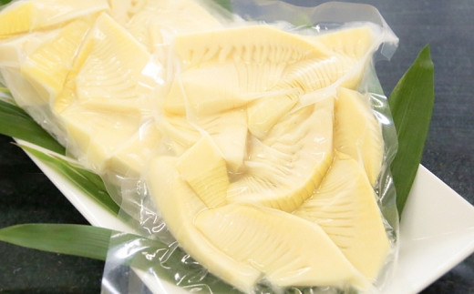 【先行受付】瞬間冷凍 カットたけのこ 計1.2kg(300g×4袋) 令和8年産 4月下旬から 熊本県 南関町産 無添加 和食 素材 野菜 小分け 個包装 筍 タケノコ