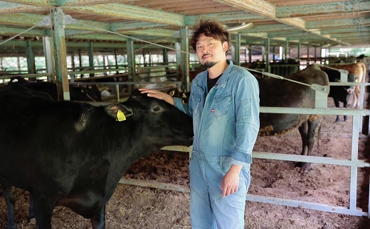 《あか牛》ステーキ・焼肉・すき焼き部位詰合せ 計1.45kg 熊本県産 南関町産 赤牛 褐牛 あかうし 褐毛和種 肥後名物 国産 牛肉