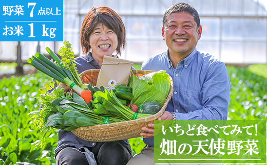 【お試し単品】いちど食べてみて「畑の天使」野菜《お米1kg入り》おまかせ 詰め合わせ 旬 野菜セット 新鮮 こだわり 朝採れ 採れたて フレッシュ サラダ 料理 人気 おすすめ 産地直送 熊本県 南関町