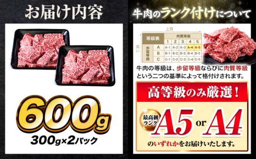 ããŸããšé»æ¯åç äž ããŒã¹ çŒè åãèœãšã 600g ã30æ¥ä»¥å
ã«åºè·äºå®(忥ç¥é€ã)ãçæ¬ç åé¢çº äžããŒã¹ çŒèçš é»æ¯åç çŒè è ãè åç A5 A4 300g å°åã ãªãããŒã¹ ãµãŒãã€ã³