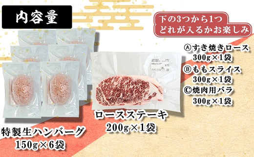 《あか牛》ハンバーグ盛り盛り 人気部位おまかせ1点 お楽しみセット 計1.4kg  熊本県産 南関町産 赤牛 褐牛 あかうし 褐毛和種 肥後名物 国産 牛肉