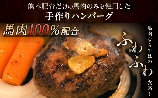手作りハン馬ーグ 100g×10個 馬肉100%配合！【熊本肥育】ハンバーグ たっぷり 冷凍 お中元 肉 お手軽 お取り寄せ《30日以内に出荷予定(土日祝除く)》