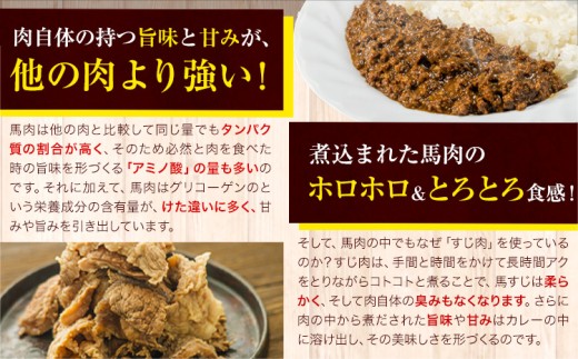 馬肉 カレー キーマカレー 4食入り 180g × 4袋《30日以内に発送予定(土日祝除く)》