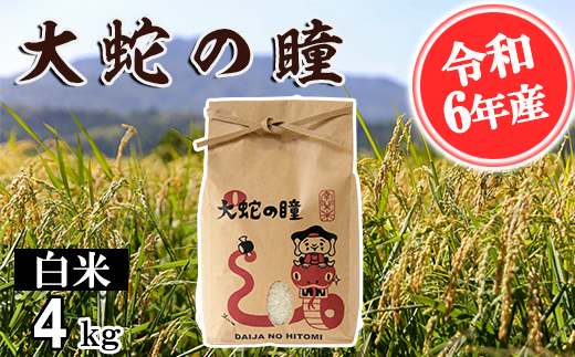 【令和6年産】大蛇の瞳 白米 4kg 精米 熊本県 南関町産 単一原料米 コシヒカリ 産地直送 コメ お米 ごはん