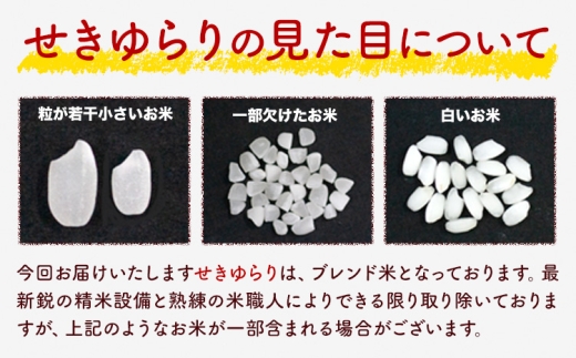 【12ヶ月定期便】米 南関町 せきゆらり 無洗米 20kg《お申込み翌月から出荷》熊本県産 国産 無洗米 こめ コメ 20キロ