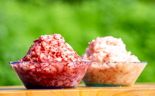 【数量限定】農家直送 南関町産 冷凍いちご赤と白 計2Kg