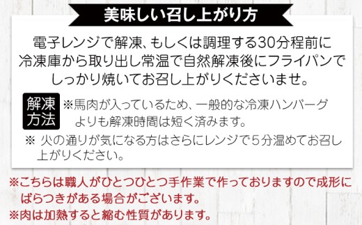手作りハン馬ーグ 100g×10個 馬肉100%配合！【熊本肥育】ハンバーグ たっぷり 冷凍 お中元 肉 お手軽 お取り寄せ《30日以内に出荷予定(土日祝除く)》