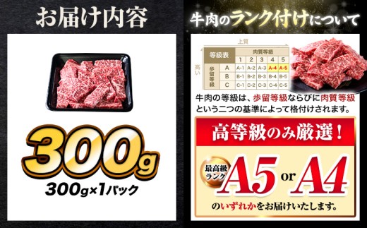 ããŸããšé»æ¯åç äž ããŒã¹ çŒè åãèœãšã 300g ã30æ¥ä»¥å
ã«åºè·äºå®(忥ç¥é€ã)ãçæ¬ç åé¢çº äžããŒã¹ çŒèçš é»æ¯åç çŒè è ãè åç A5 A4 300g å°åã ãªãããŒã¹ ãµãŒãã€ã³