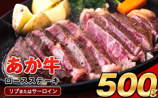 ããçïŒè€è²åçš®ïŒããŒã¹ã¹ããŒã (ãªããŸãã¯ãµãŒãã€ã³) 250gÃ2 500g çæ¬çç£ è åç çè èµ€ç ãããã ãªãããŒã¹ ãµãŒãã€ã³ å·å ã30æ¥ä»¥å
ã«åºè·äºå®(忥ç¥é€ã)ã