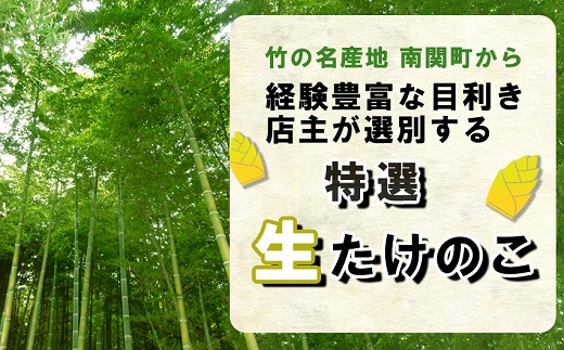 【先行受付】特選 生たけのこ 2kg予約 3月中旬発送