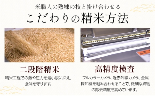 米 南関町 せきゆらり 白米 10kg《7-14日以内に出荷予定(土日祝除く)》熊本県産 国産 白米 こめ コメ 10キロ