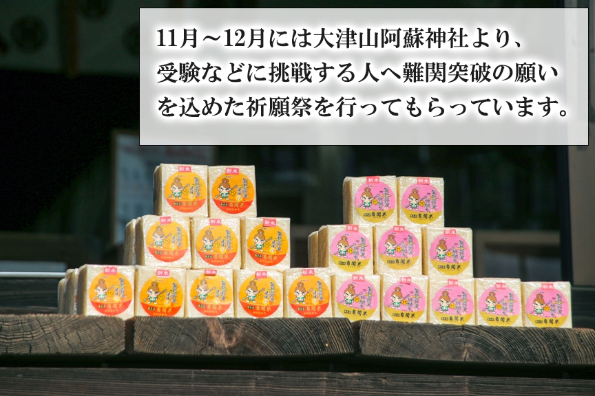 【令和6年産】難関突破達成米 白米 300g×8個 キューブ 精米 熊本県 南関町産 単一原料米 ヒノヒカリ 産地直送 コメ お米 祈願米