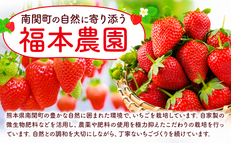 å·åãã¡ã ããã¹ã« 3kg çŠæ¬èŸ²åã60æ¥ä»¥å
åºè·äºå®(忥ç¥é€ã)ãçæ¬ç åé¢çº èº ã€ã㎠å·å æç© ãã«ãŒã åœç£ çæ¬ åé¢ ãã¶ãŒã ã¹ã ãŒãžãŒ ããæ°· ãšãŒã°ã«ã ææ¡ã æ¬ å°åã 500g å å·¥çš ãã〠ä¿å