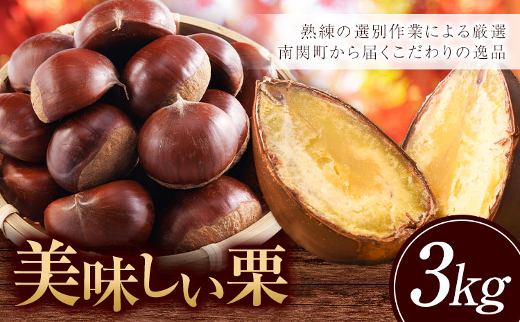 2026年産目利き厳選 やさい畑の美味しい栗 3kg 農家直送 厳選 生栗 冷蔵 送料 無料《9月下旬-10月上旬頃出荷》