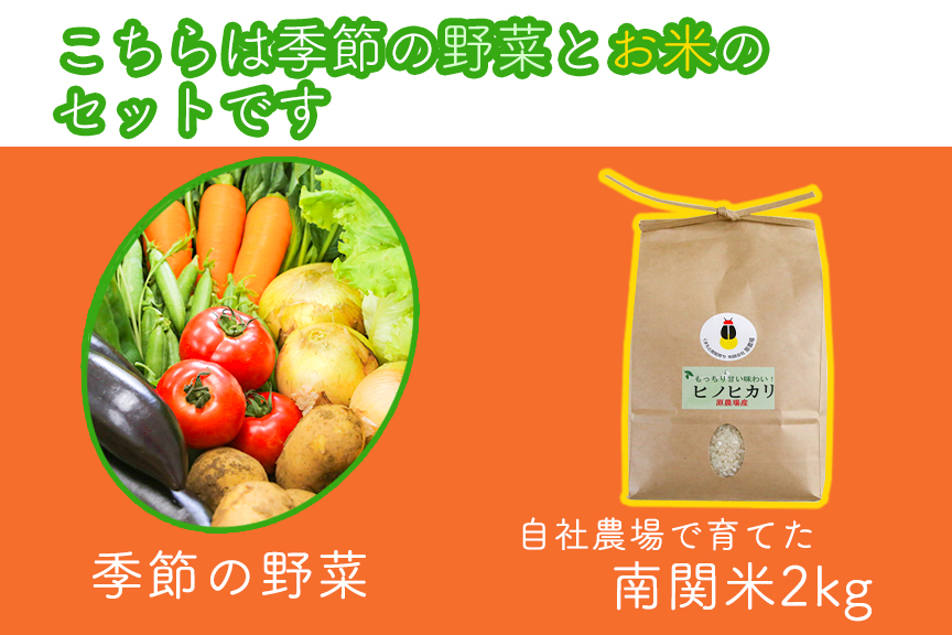 縲仙ョ壽悄萓ソ 3繝カ譛医托ス「逡代ョ螟ゥ菴ソス」螳壽悄萓ソ(蟷エ3蝗)縲翫♀邀ウ2kg蜈・繧翫九♀縺セ縺九○ 隧ー繧∝粋繧上○ 譌ャ 驥手除繧サ繝繝 譁ー魄ョ 縺薙□繧上j 譛晄治繧 謗。繧後◆縺ヲ 繝輔Ξ繝繧キ繝・ 繧オ繝ゥ繝 譁咏炊 莠コ豌 縺翫☆縺吶a 逕」蝨ー逶エ騾 辭頑悽逵 蜊鈴未逕コ