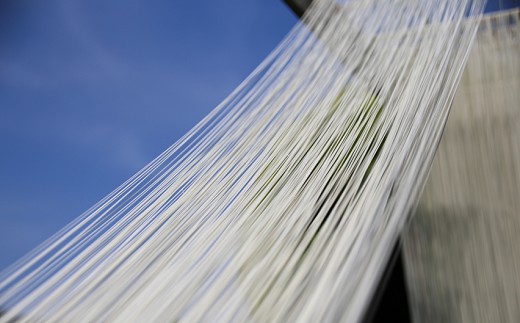 螂郁憶蜴溯」ス鮗コ謇 蜊鈴未縺昴≧繧√s 10譚溷・繧