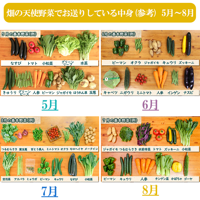 【お試し単品】いちど食べてみて「畑の天使」野菜《野菜のみ》おまかせ 詰め合わせ 旬 野菜セット 新鮮 こだわり 朝採れ 採れたて フレッシュ サラダ 料理 人気 おすすめ 産地直送 熊本県 南関町