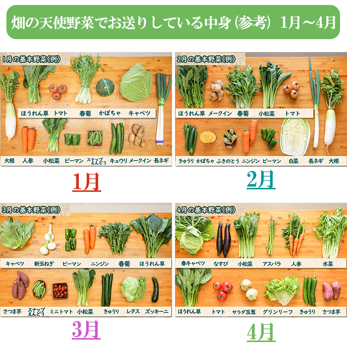 【お試し単品】いちど食べてみて「畑の天使」野菜《野菜のみ》おまかせ 詰め合わせ 旬 野菜セット 新鮮 こだわり 朝採れ 採れたて フレッシュ サラダ 料理 人気 おすすめ 産地直送 熊本県 南関町