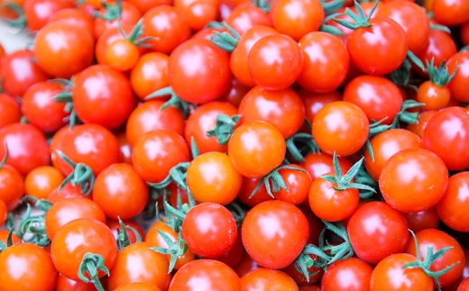 【お試し単品】いちど食べてみて「畑の天使」野菜《野菜のみ》おまかせ 詰め合わせ 旬 野菜セット 新鮮 こだわり 朝採れ 採れたて フレッシュ サラダ 料理 人気 おすすめ 産地直送 熊本県 南関町