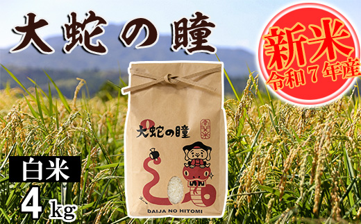 【令和7年産】大蛇の瞳 白米 4kg 精米 熊本県 南関町産 単一原料米 コシヒカリ 産地直送 コメ お米 ごはん