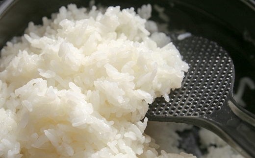 縲蝉サ、蜥7蟷エ逕」縲鷹屮髢「遯∫エ驕疲千アウ 逋ス邀ウ 5kgテ2 邊セ邀ウ 辭頑悽逵 蜊鈴未逕コ逕」 蜊倅ク蜴滓侭邀ウ 繝偵ヮ繝偵き繝ェ 逕」蝨ー逶エ騾 繧ウ繝。 縺顔アウ 逾磯。倡アウ