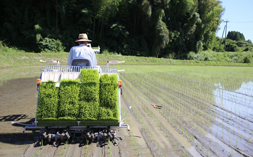 縲蝉サ、蜥7蟷エ逕」縲鷹屮髢「遯∫エ驕疲千アウ 逋ス邀ウ 5kgテ2 邊セ邀ウ 辭頑悽逵 蜊鈴未逕コ逕」 蜊倅ク蜴滓侭邀ウ 繝偵ヮ繝偵き繝ェ 逕」蝨ー逶エ騾 繧ウ繝。 縺顔アウ 逾磯。倡アウ