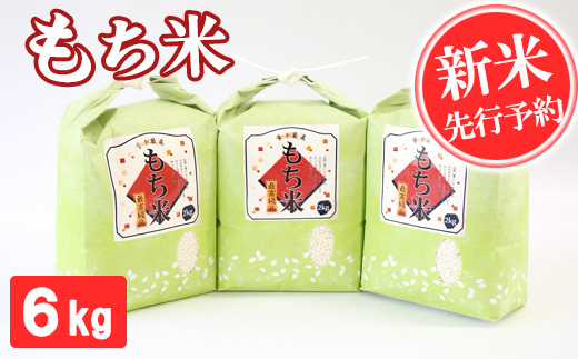 【令和7年産】もち米 6kg 精米 熊本県 南関町産 産地直送 餅 赤飯 おこわ 12月初旬よりお届け