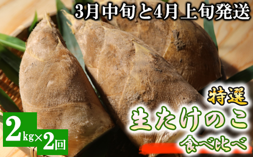 【先行受付】特選 生たけのこ 食べ比べ 2kg×2回 予約 3月中旬と4月上旬の2回発送 熊本県 南関町産 春 筍