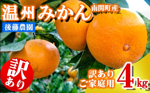 ご家庭用 後藤農園 温州みかん 4kg 訳あり 熊本県 南関町 フルーツ 果物 くだもの 柑橘