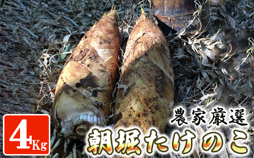 【先行受付】農家厳選「朝堀たけのこ」 4kg予約 4月中旬発送 熊本県 南関町産 春 筍
