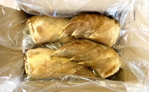 【先行受付】《限定数量》極上 白宗たけのこ 2kg予約 3月〜4月上旬発送 熊本県 南関町産 春 筍