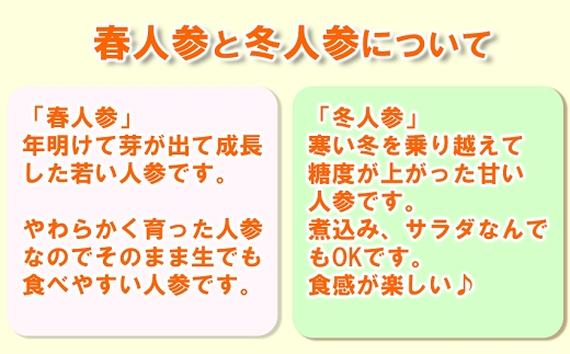 【予約受付】農薬・化学肥料不使用 《自然のまま》にんじん 5kg 2026年1月から配送