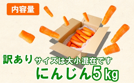 【予約受付】農薬・化学肥料不使用 《自然のまま》にんじん 5kg 2026年1月から配送