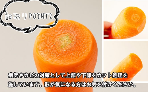 【予約受付】農薬・化学肥料不使用 《自然のまま》にんじん 5kg 2026年1月から配送