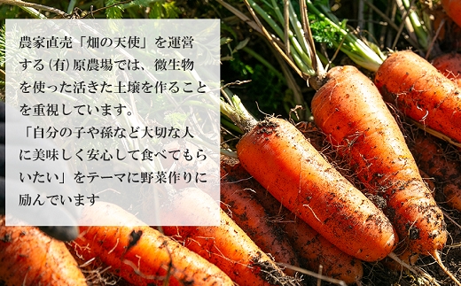 【予約受付】農薬・化学肥料不使用 《自然のまま》にんじん 5kg 2026年1月から配送