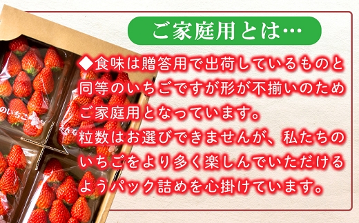 【先行予約】農家直送 南関町産いちご(ゆうべに) 計1㎏ 4パック 家庭用 1月上旬～3月末 順次発送　Sから3Lまで混在
