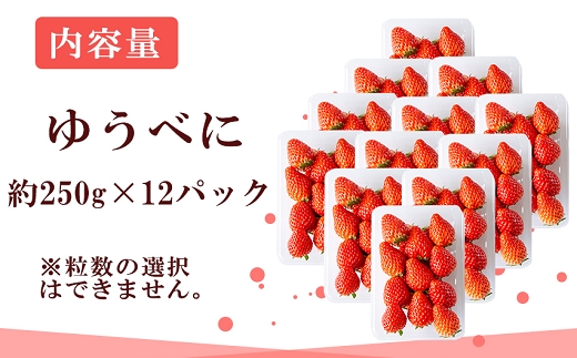 ãå
è¡äºçŽã蟲家çŽé åé¢çºç£ãã¡ã(ããã¹ã«) èš3kg 12ãã㯠家åºçš 1æäžæ¬ïœ3ææ« é æ¬¡çºéãSãã3LãŸã§æ··åš