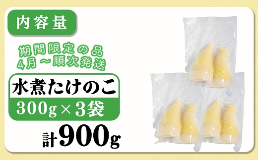 【先行受付】無添加たけのこ水煮 計900g(300g×3袋) 令和8年産 4月上旬から 熊本県 南関町産 春 新鮮 惣菜 小分け 和食 筍 タケノコ