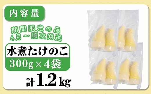 【先行受付】無添加たけのこ水煮 計1.2Kg(300g×4袋) 令和8年産 4月上旬から 熊本県 南関町産 春 新鮮 惣菜 小分け 和食 筍 タケノコ